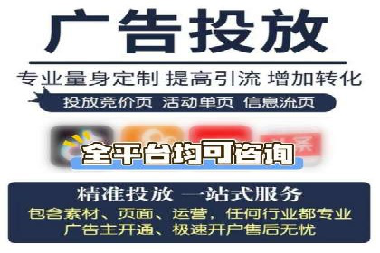 竞价广告投放技巧：如何提高转化率——案例分析